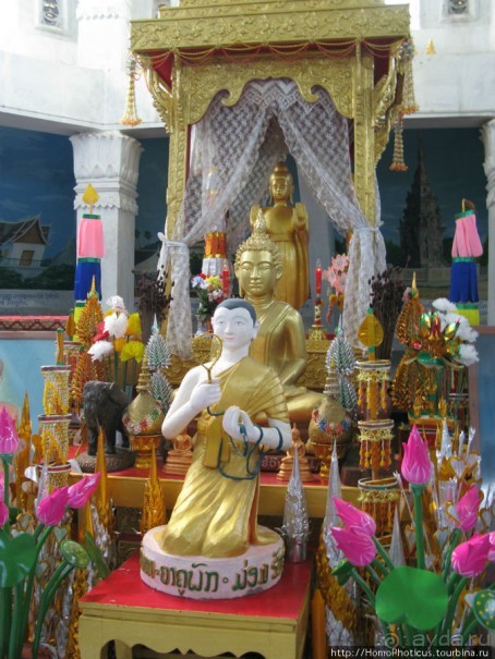 Альбом отзыва "Королевский город-музей"