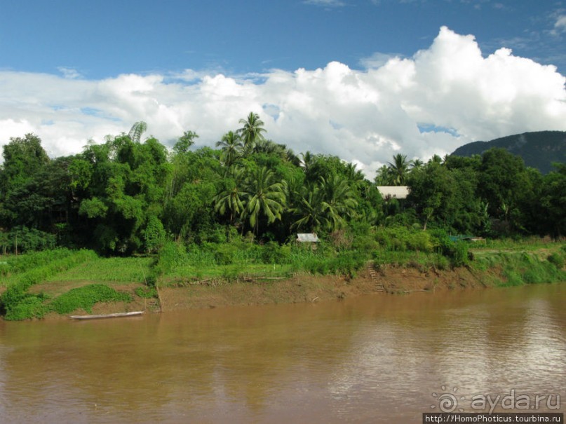 Альбом отзыва "Королевский город-музей"