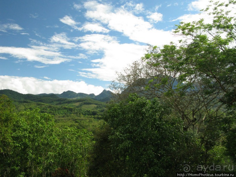 Альбом отзыва "Королевский город-музей"