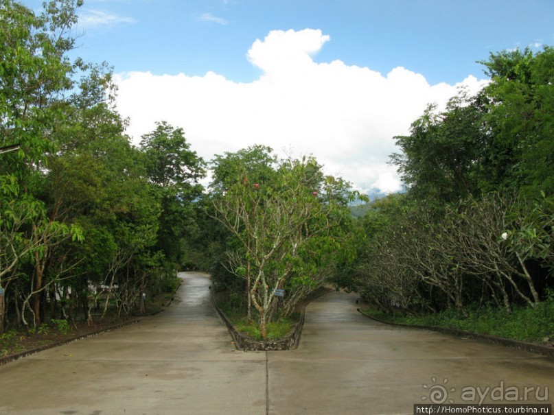 Альбом отзыва "Королевский город-музей"