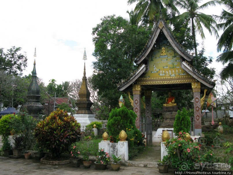 Альбом отзыва "Королевский город-музей"