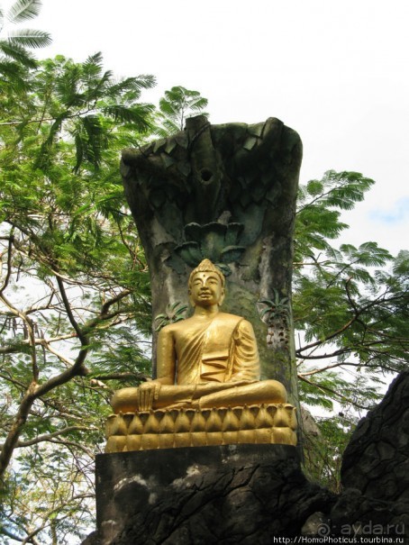 Альбом отзыва "Королевский город-музей"