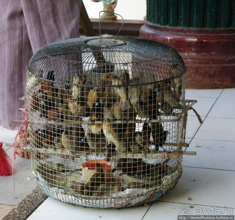 Четыре Будды на прощание