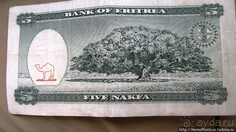 Политически значимый фикус