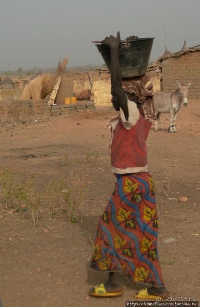 Первое знакомство с камерунскими фульбе