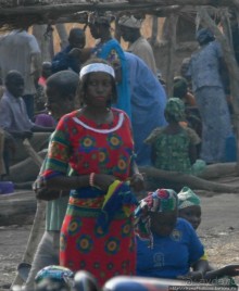 Первое знакомство с камерунскими фульбе