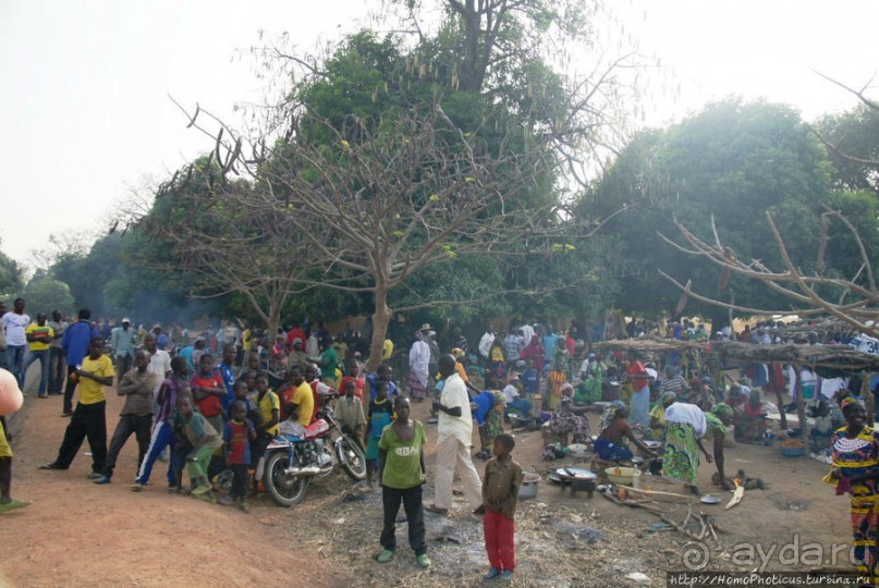 Первое знакомство с камерунскими фульбе