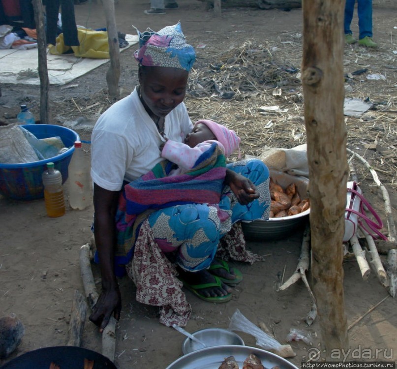 Первое знакомство с камерунскими фульбе