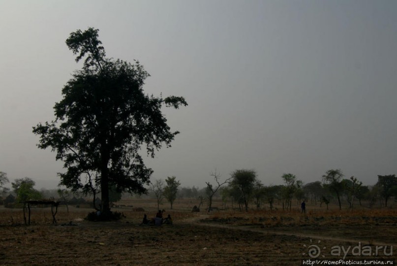 Первое знакомство с камерунскими фульбе