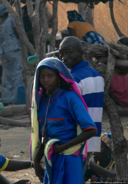 Первое знакомство с камерунскими фульбе