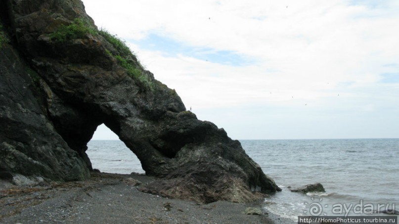 Тонино-Анивский полуостров: птицы, нерпы и ветер