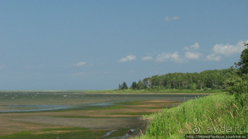 Тонино-Анивский полуостров: птицы, нерпы и ветер