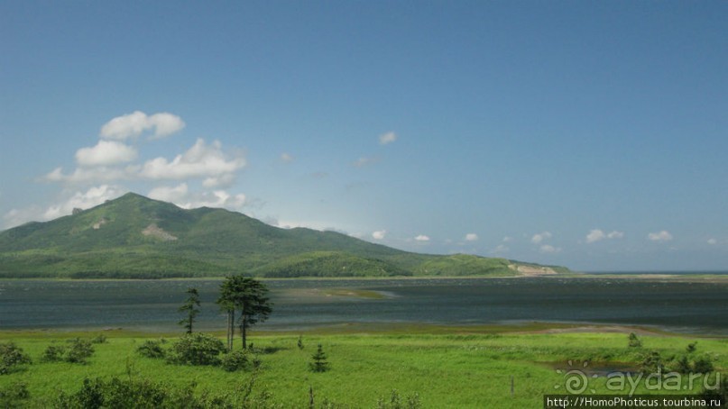 Тонино-Анивский полуостров: птицы, нерпы и ветер