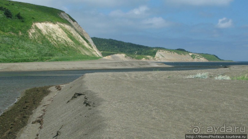 Тонино-Анивский полуостров: птицы, нерпы и ветер