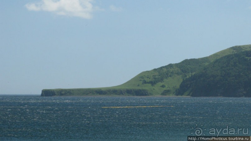 Тонино-Анивский полуостров: птицы, нерпы и ветер