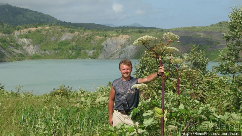 Тонино-Анивский полуостров: птицы, нерпы и ветер