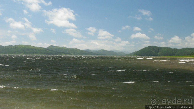 Тонино-Анивский полуостров: птицы, нерпы и ветер