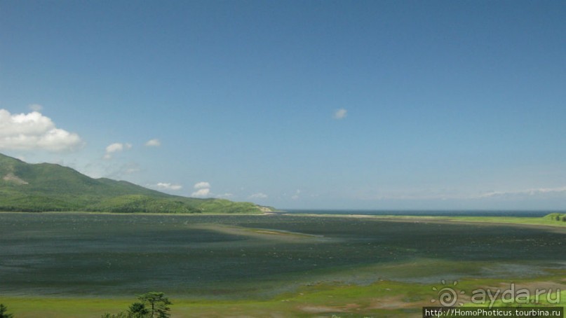 Тонино-Анивский полуостров: птицы, нерпы и ветер