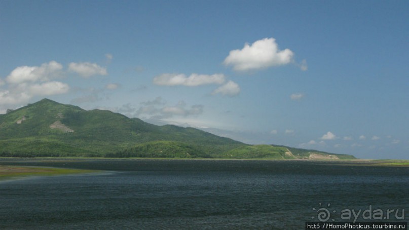 Тонино-Анивский полуостров: птицы, нерпы и ветер