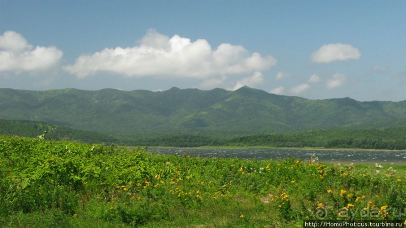 Тонино-Анивский полуостров: птицы, нерпы и ветер