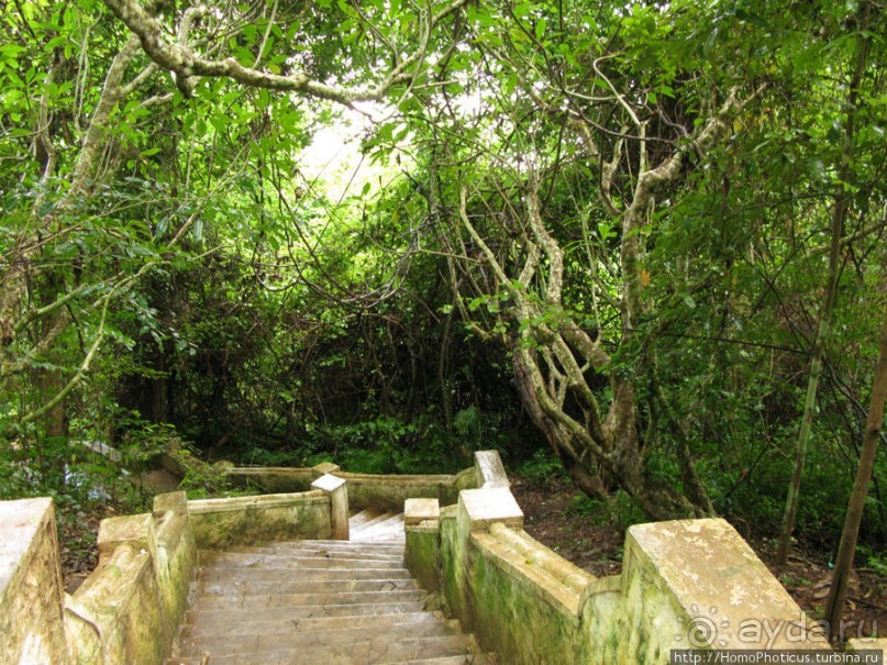 Альбом отзыва "Пещера четырех тысяч Будд"