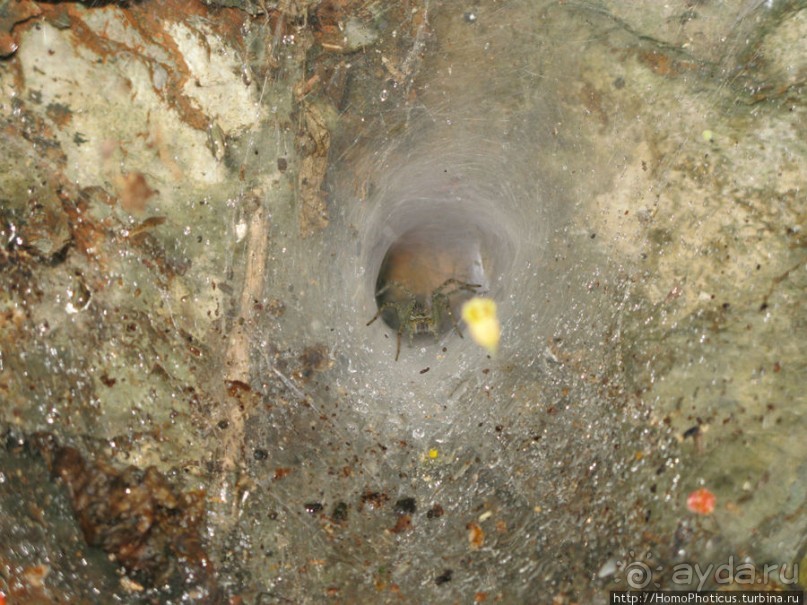 Альбом отзыва "Пещера четырех тысяч Будд"