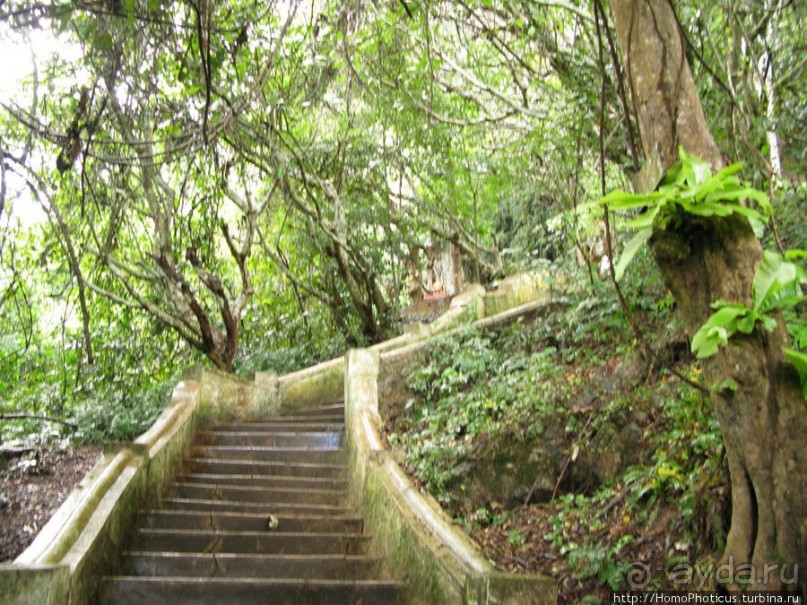 Альбом отзыва "Пещера четырех тысяч Будд"