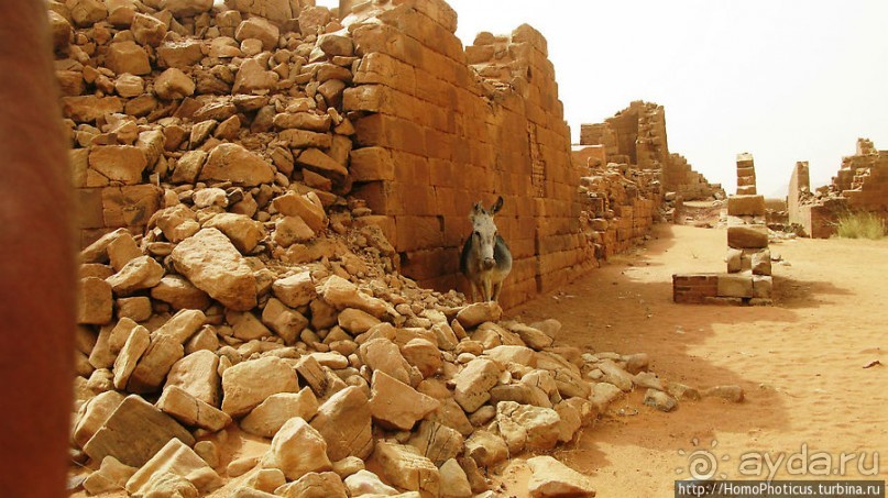 Последний расцвет Куша