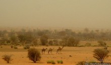 Последний расцвет Куша