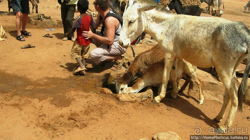 Последний расцвет Куша