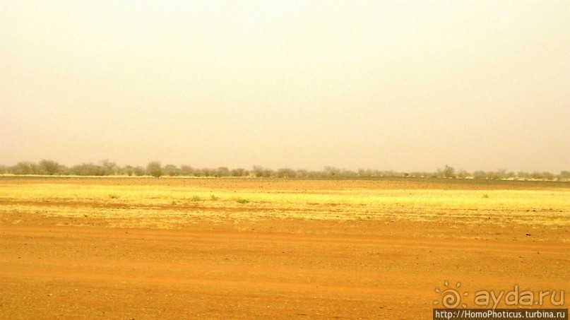 Последний расцвет Куша