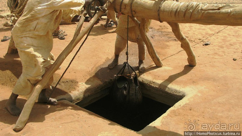 Последний расцвет Куша