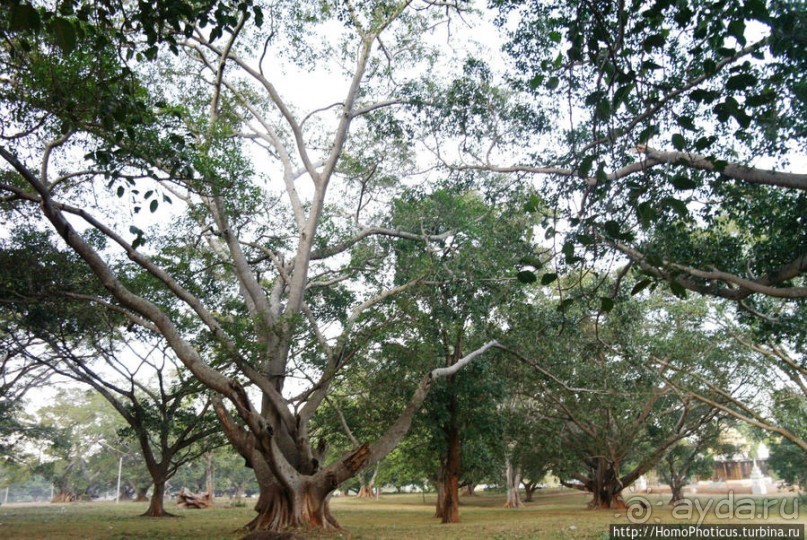 У подножия храмовой горы