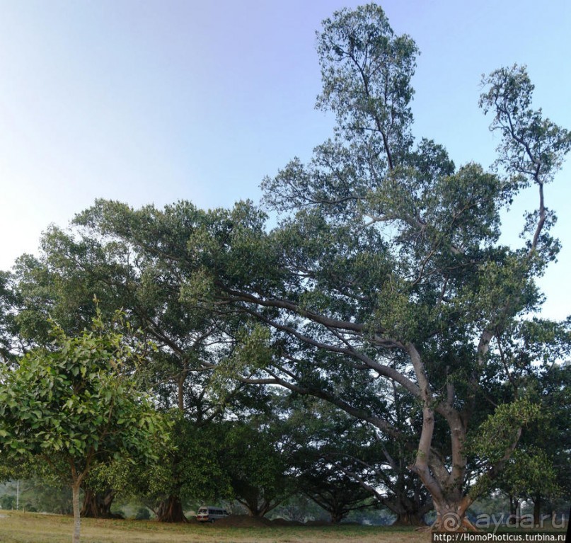 У подножия храмовой горы