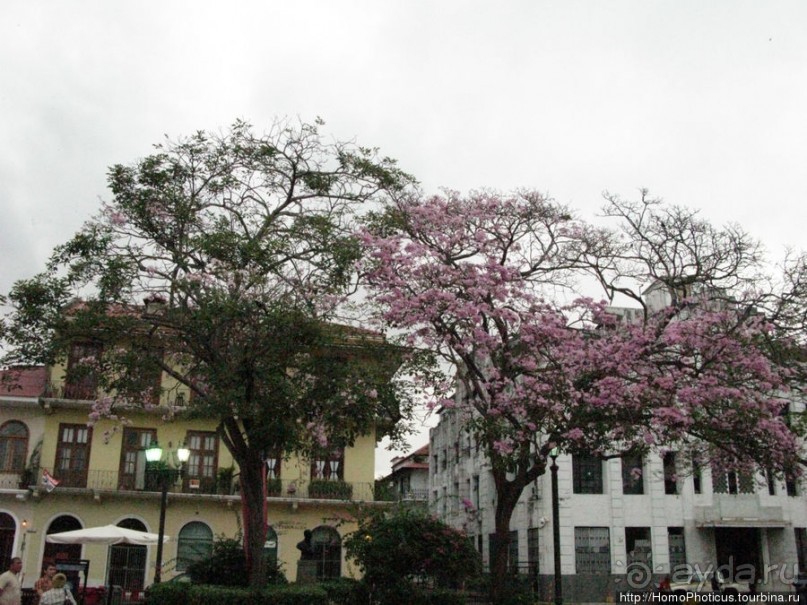 Канал и небоскребы