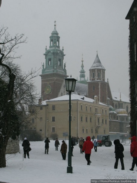 Под Вавелем