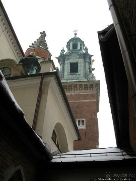 Под Вавелем