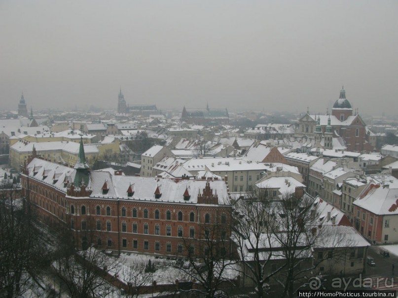 Под Вавелем