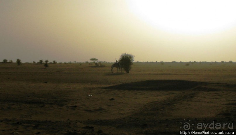 Пустыня Байюда