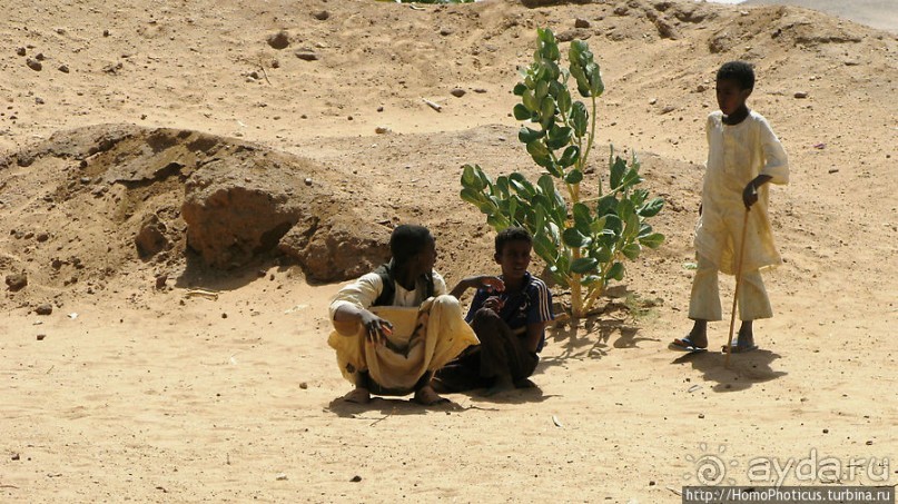 Пустыня Байюда