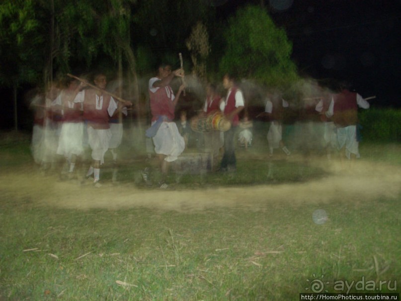 Уголок джунглей