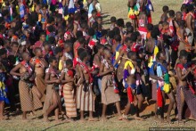 Умхланга. День VII. Танец перед королем