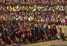 Умхланга. День VII. Танец перед королем