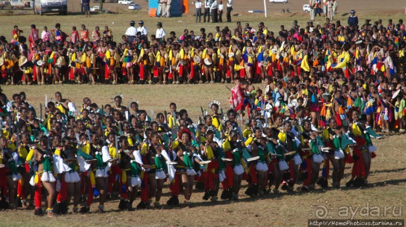 Умхланга. День VII. Танец перед королем