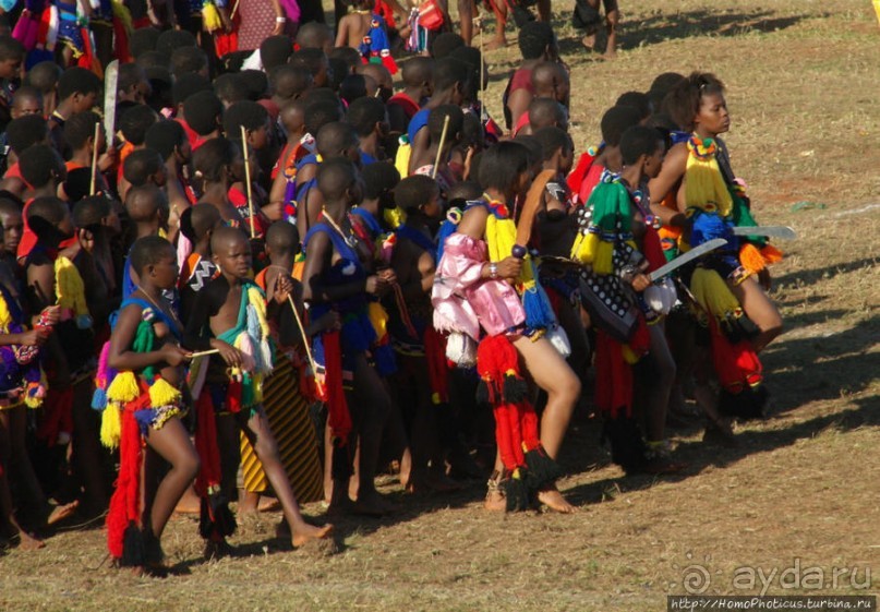 Умхланга. День VII. Танец перед королем