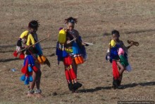 Умхланга. День VII. Танец перед королем