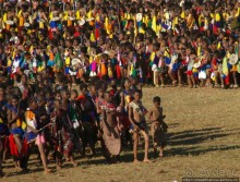 Умхланга. День VII. Танец перед королем