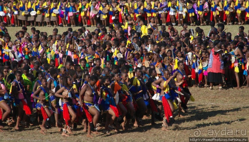 Умхланга. День VII. Танец перед королем