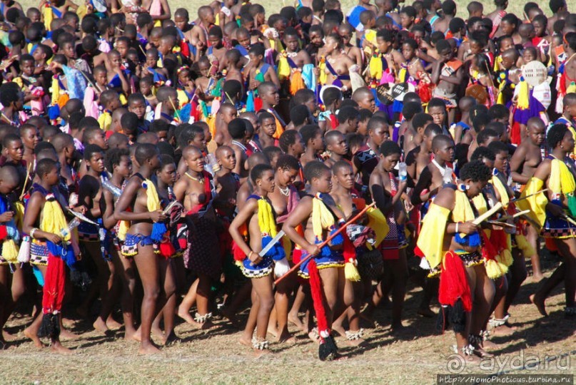 Умхланга. День VII. Танец перед королем