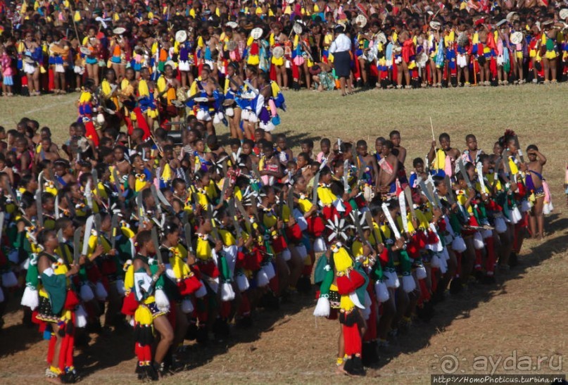 Умхланга. День VII. Танец перед королем